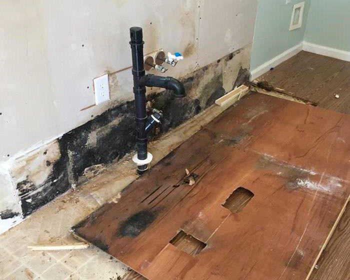 SERVPRO of Santa Barbara has a certified and experienced crew that can treat mold damage in your Goleta, CA property of any size or severity. Please give us a call!
