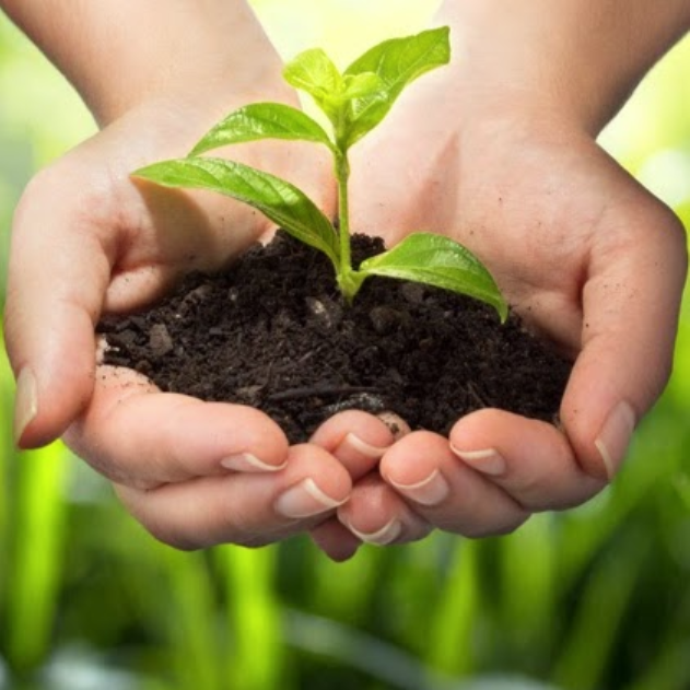 Growbox WR design & trade GmbH, Altelsweg 9 in Uetendorf