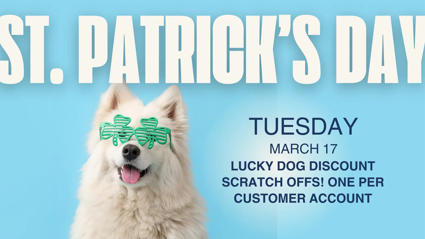 Image of Local Pet Event St. Patrick’s Day: Lucky Dog Discounts Nearby