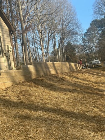 Images Dylan's Tree Services & Landscaping