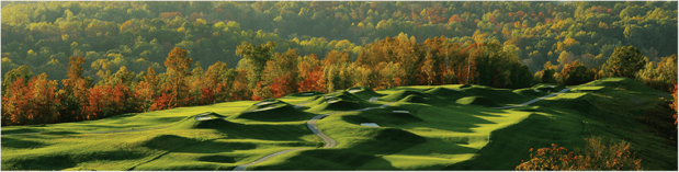 Images Pure Golf
