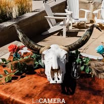 Liv Gracefully Blooms Image