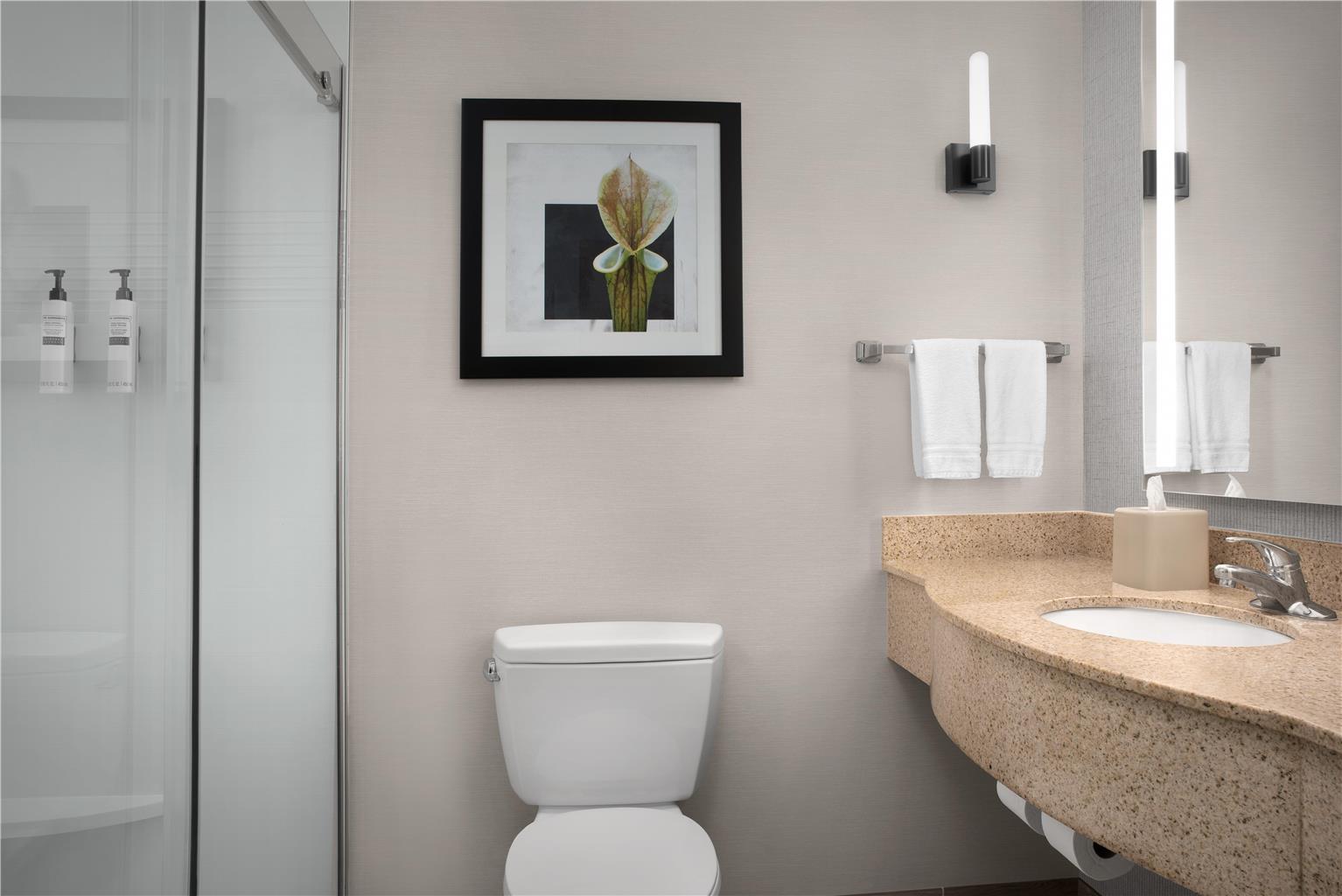 Guest room bath