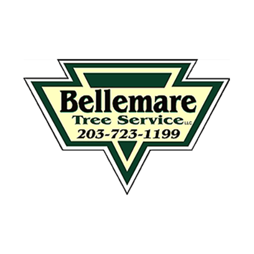 Bellemare Tree Service LLC