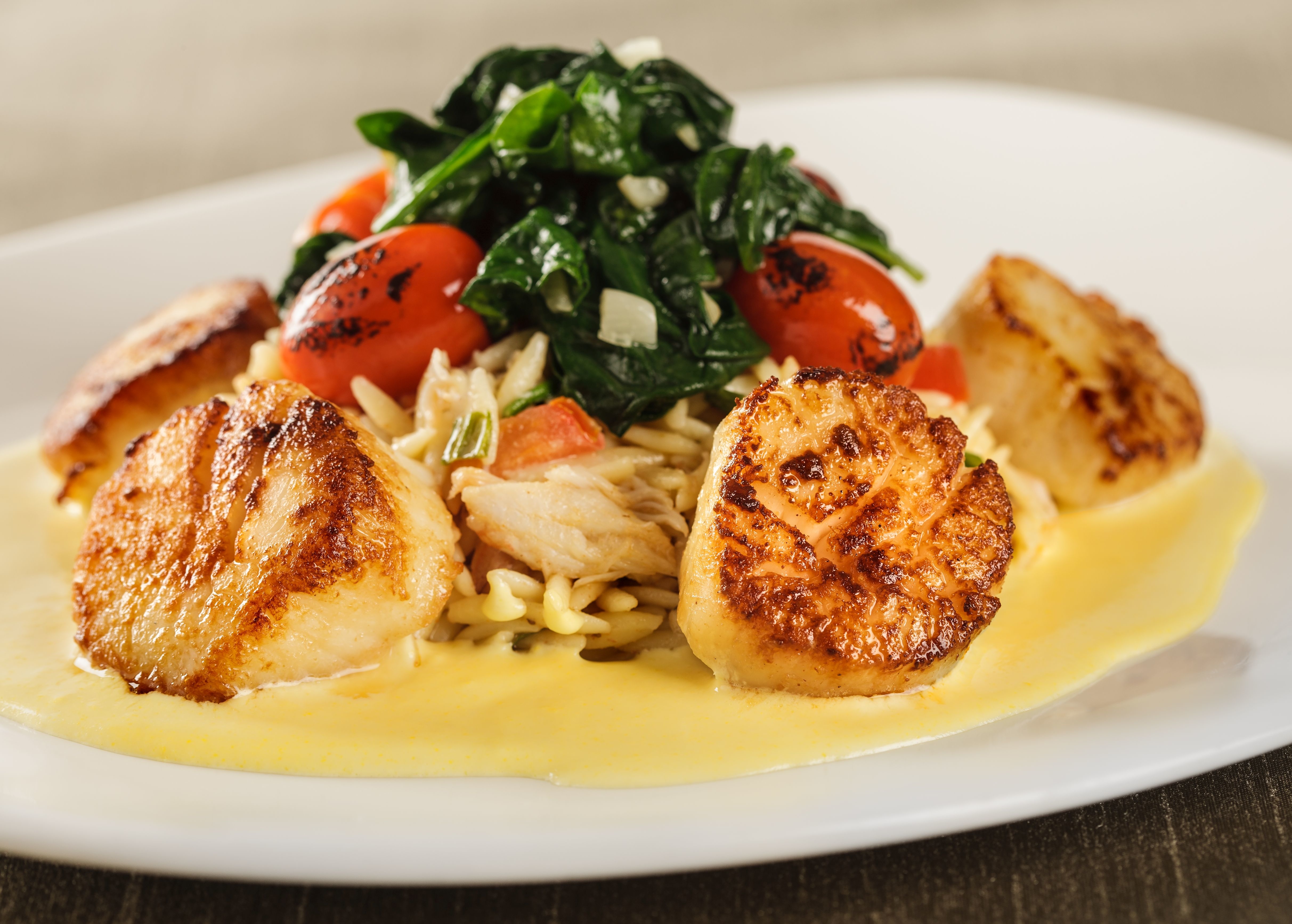 Seared Scallops