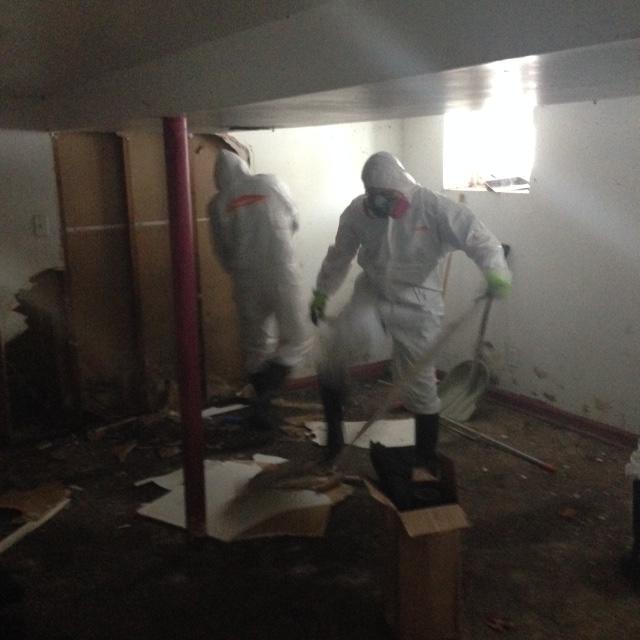 SERVPRO of Ozone Park/Jamaica Bay in action and working hard!