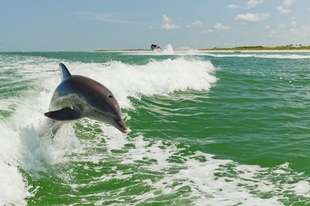 Images Holiday Inn & Suites Clearwater Beach S-Harbourside by IHG