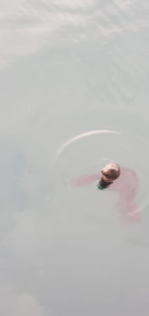 Images SoCal Eco Tours