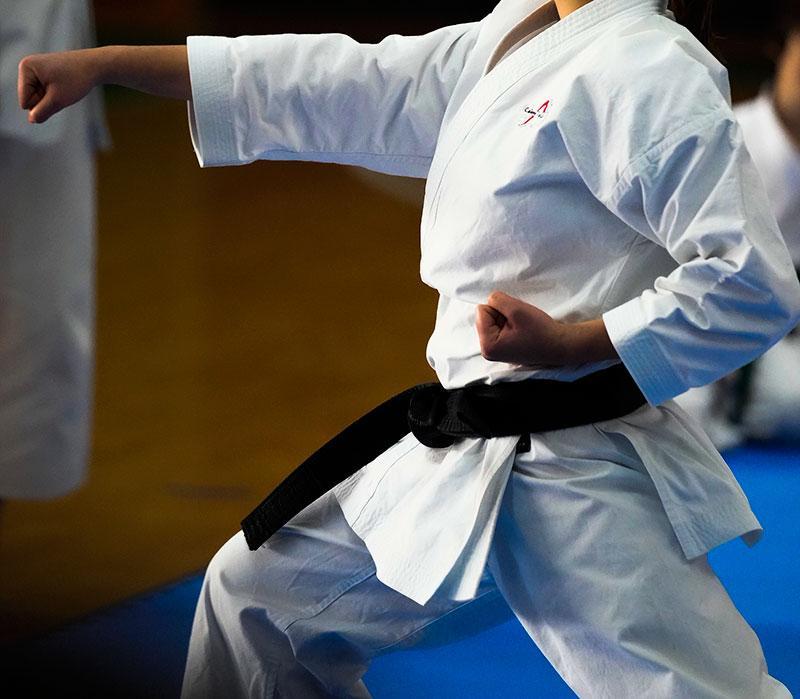 Images Palestra I.E.F.E.S.O. Club