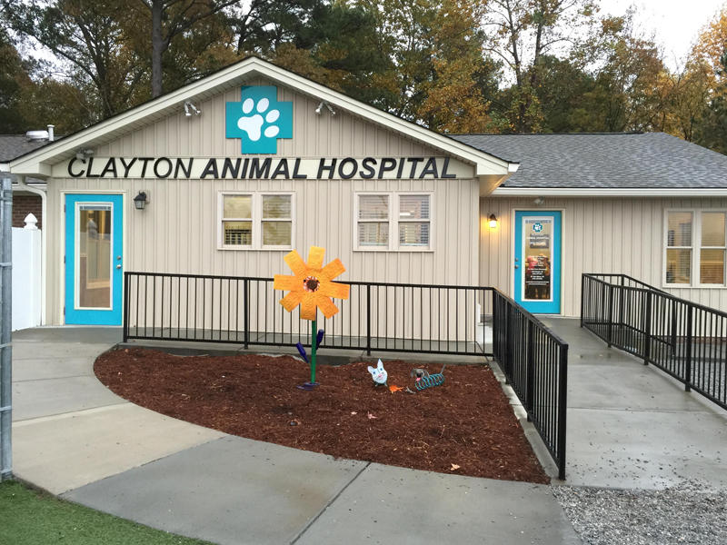 Clayton Animal Hospital - Clayton, NC 27520 - (919)553-4601 | ShowMeLocal.com