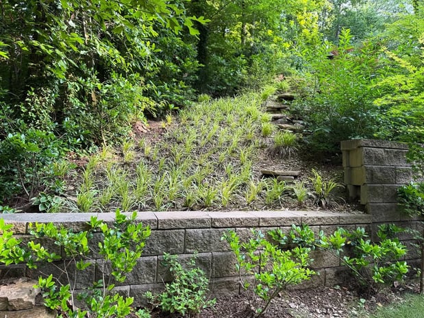 Images Bernardo & Son Landscaping Services