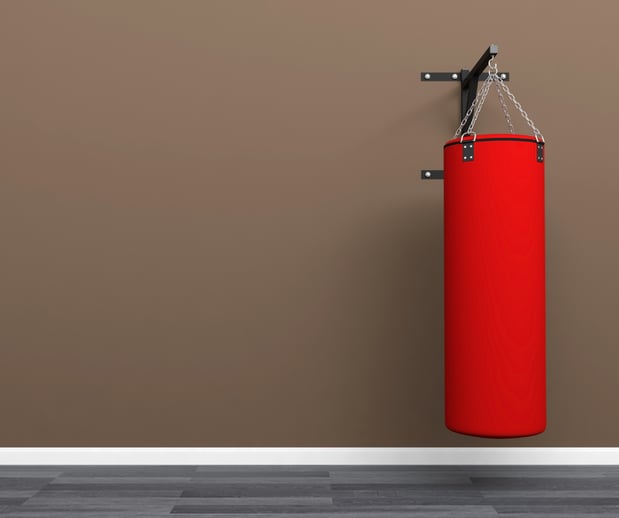 Images Aguirre's Fighting System