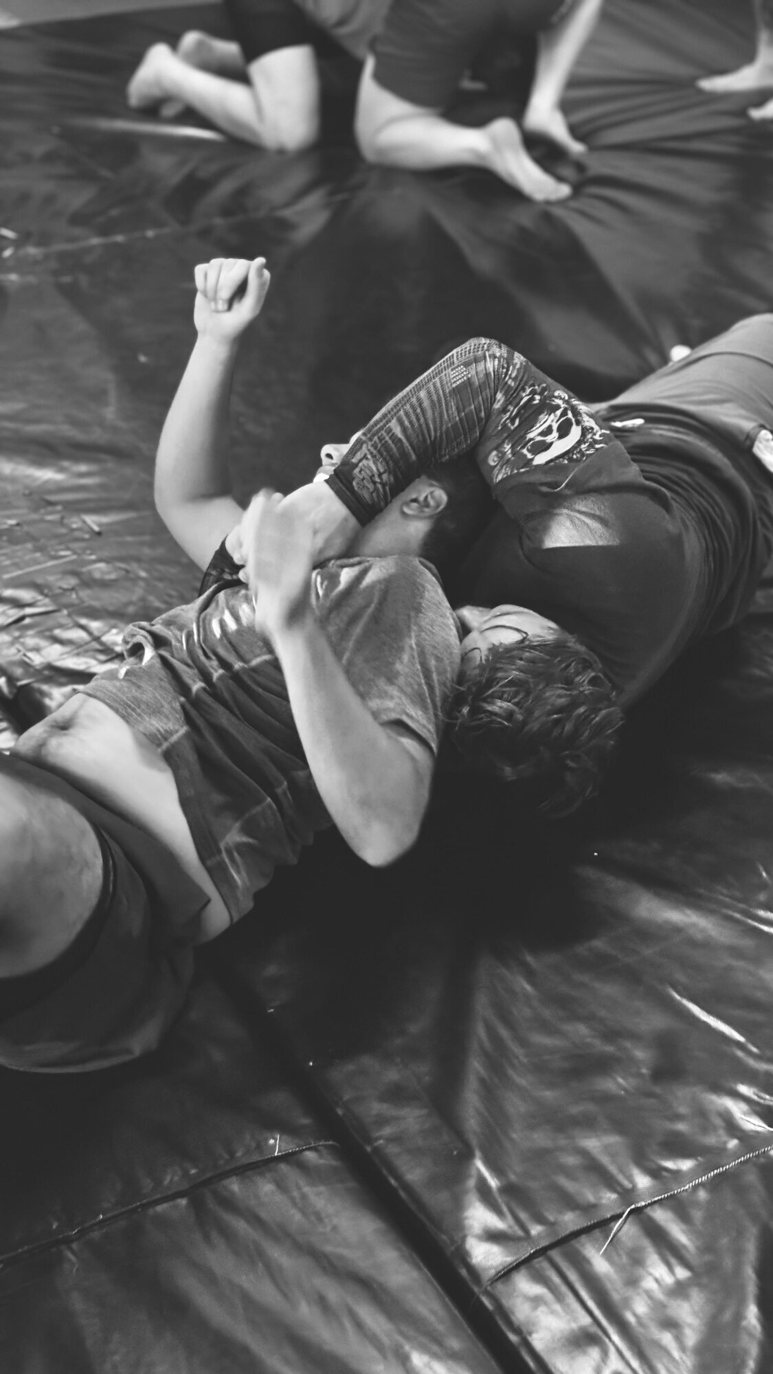 Images Iron fist mma