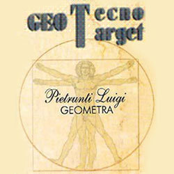 Geo Tecno Target Logo