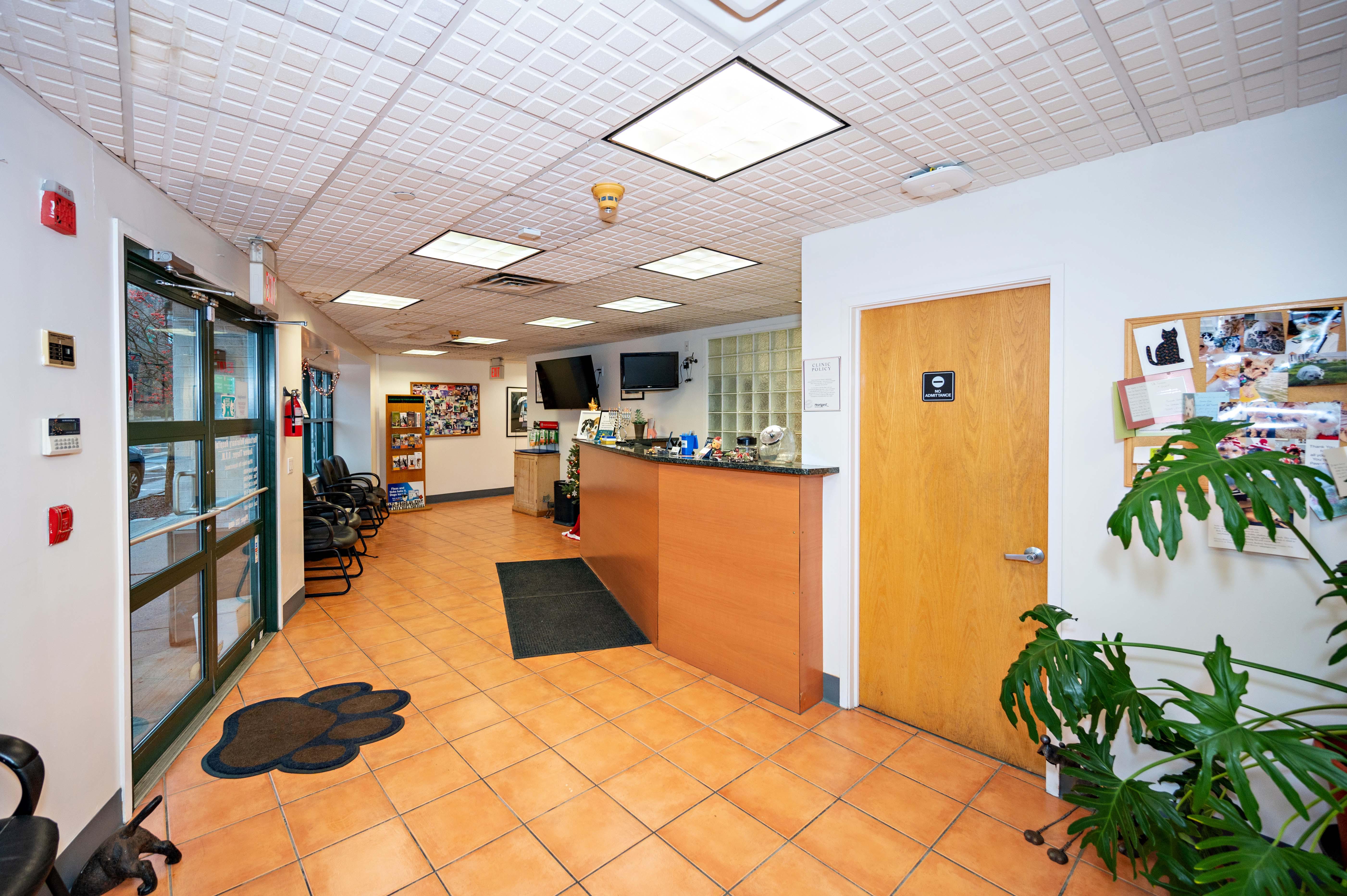 Our waiting area is light, clean, and comfortable for both our clients and their animal companions.