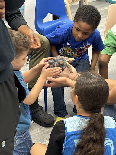 Images Cold Blooded Kingdom