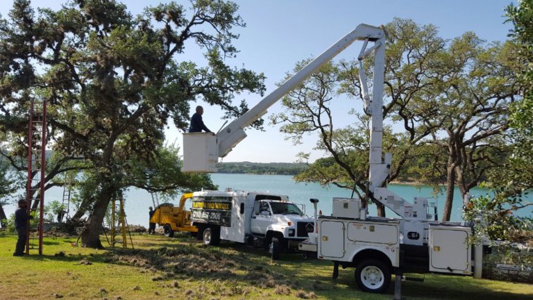 SA Total Tree Service Photo