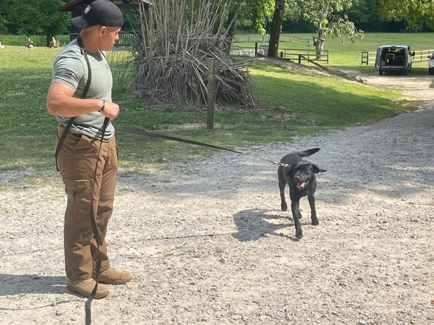 Images Custom Canine Unlimited