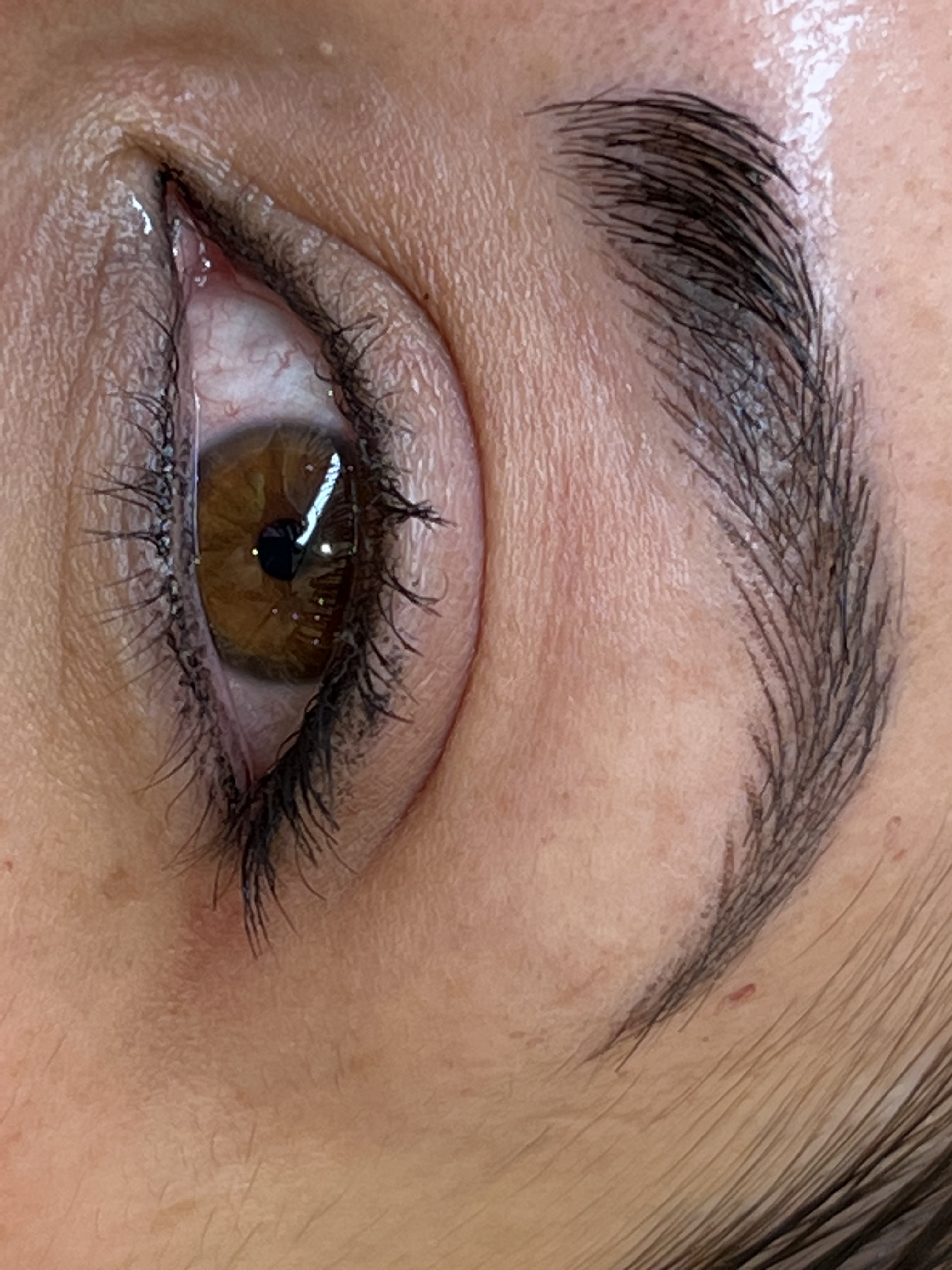 Images Tebori Brows S.L