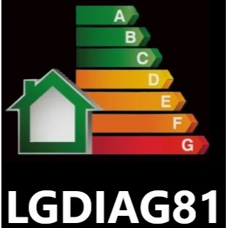 LGDIAG81