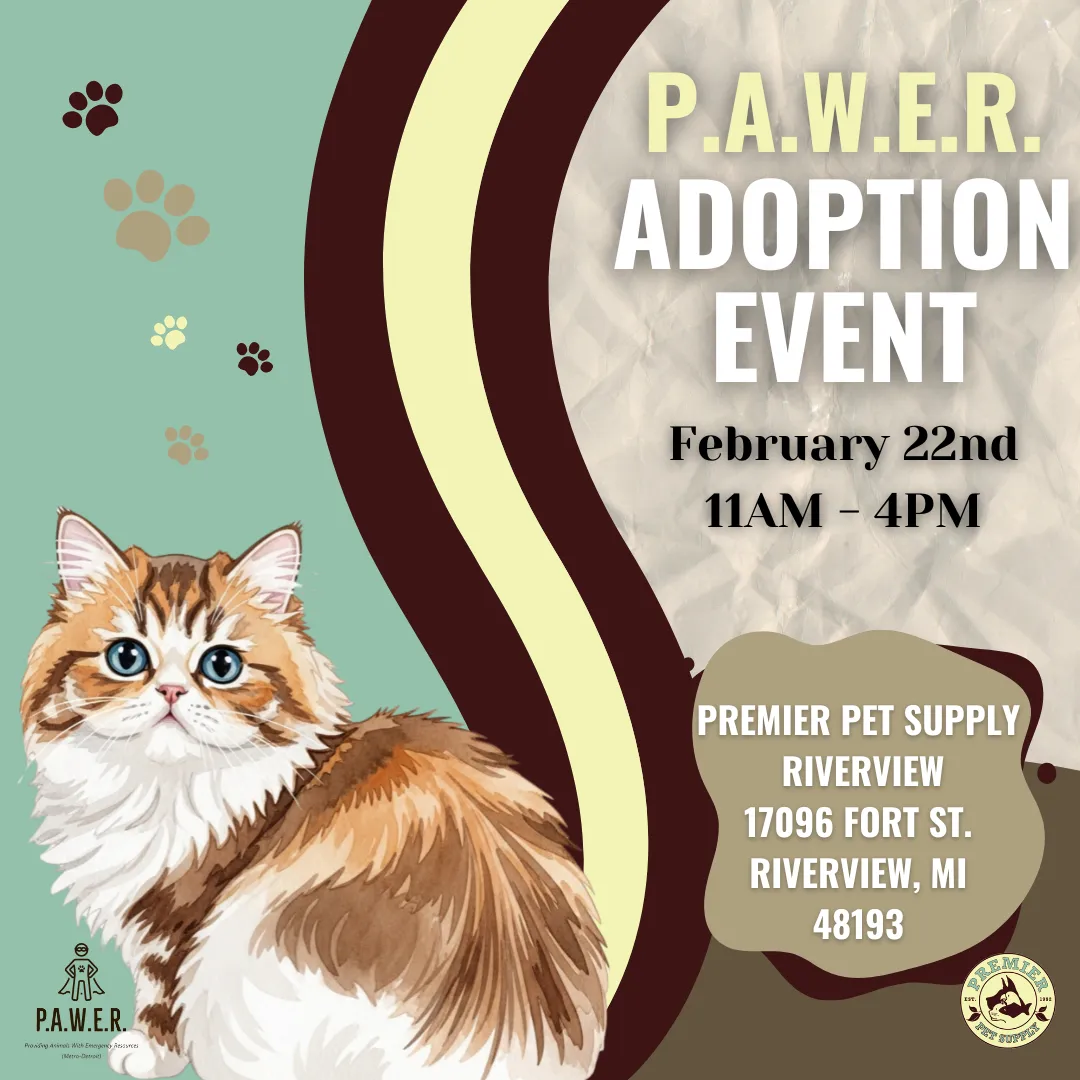 Image of Local Pet Event P.A.W.E.R. ADOPTION EVENT | RIVERVIEW Nearby