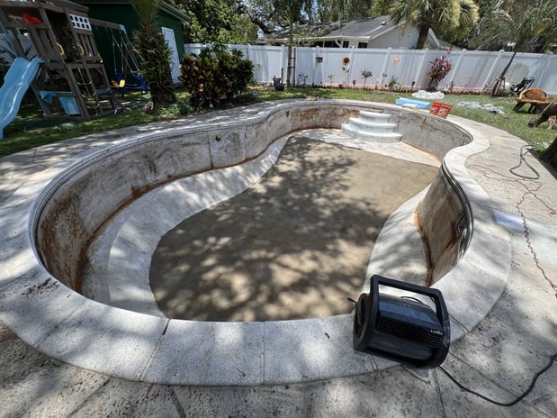 Images Paradise Palm Pools Inc