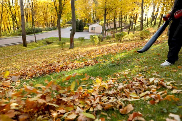 Images Mowing R Us
