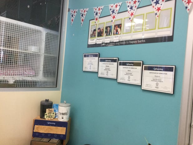 Images Petco Grooming