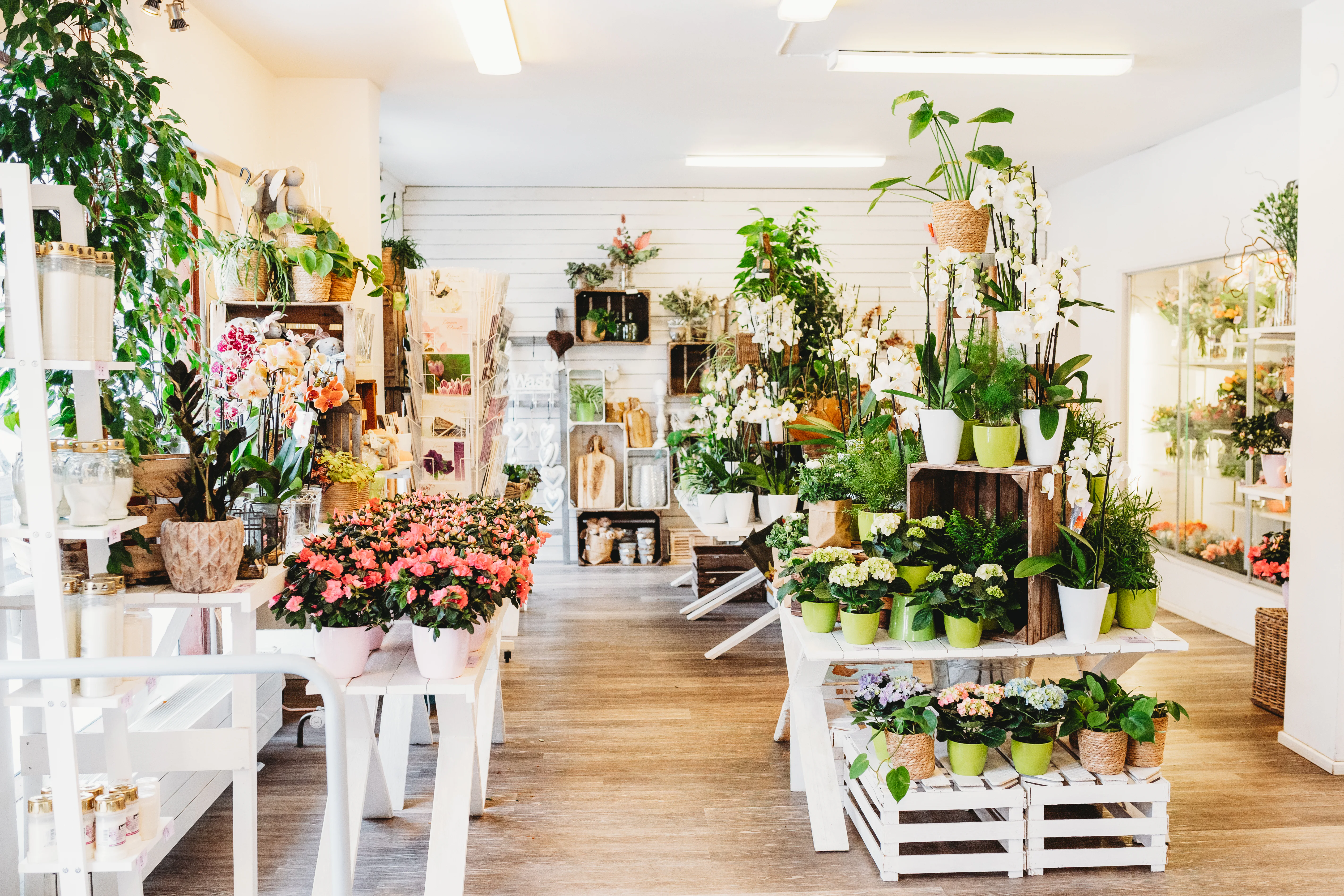 Images Kukkapalvelu Parolantien Kukka & Hautaus