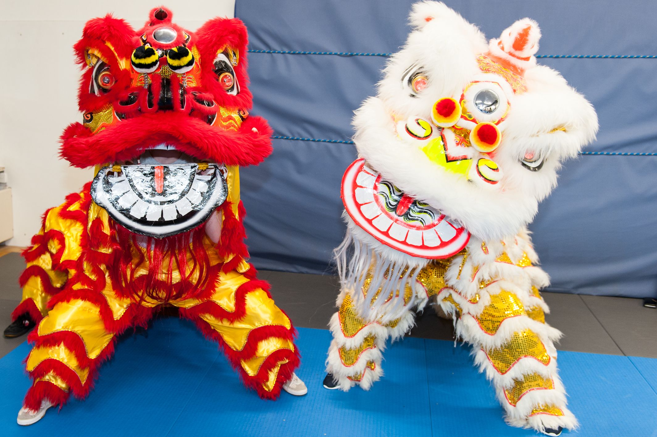 Bilder SUN WU Gongfu Schule Zürich