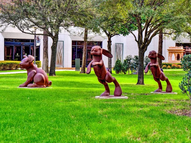 Images Hilton Anatole