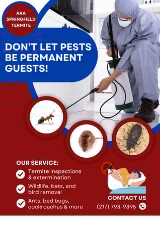 Images AAA Springfield Termite