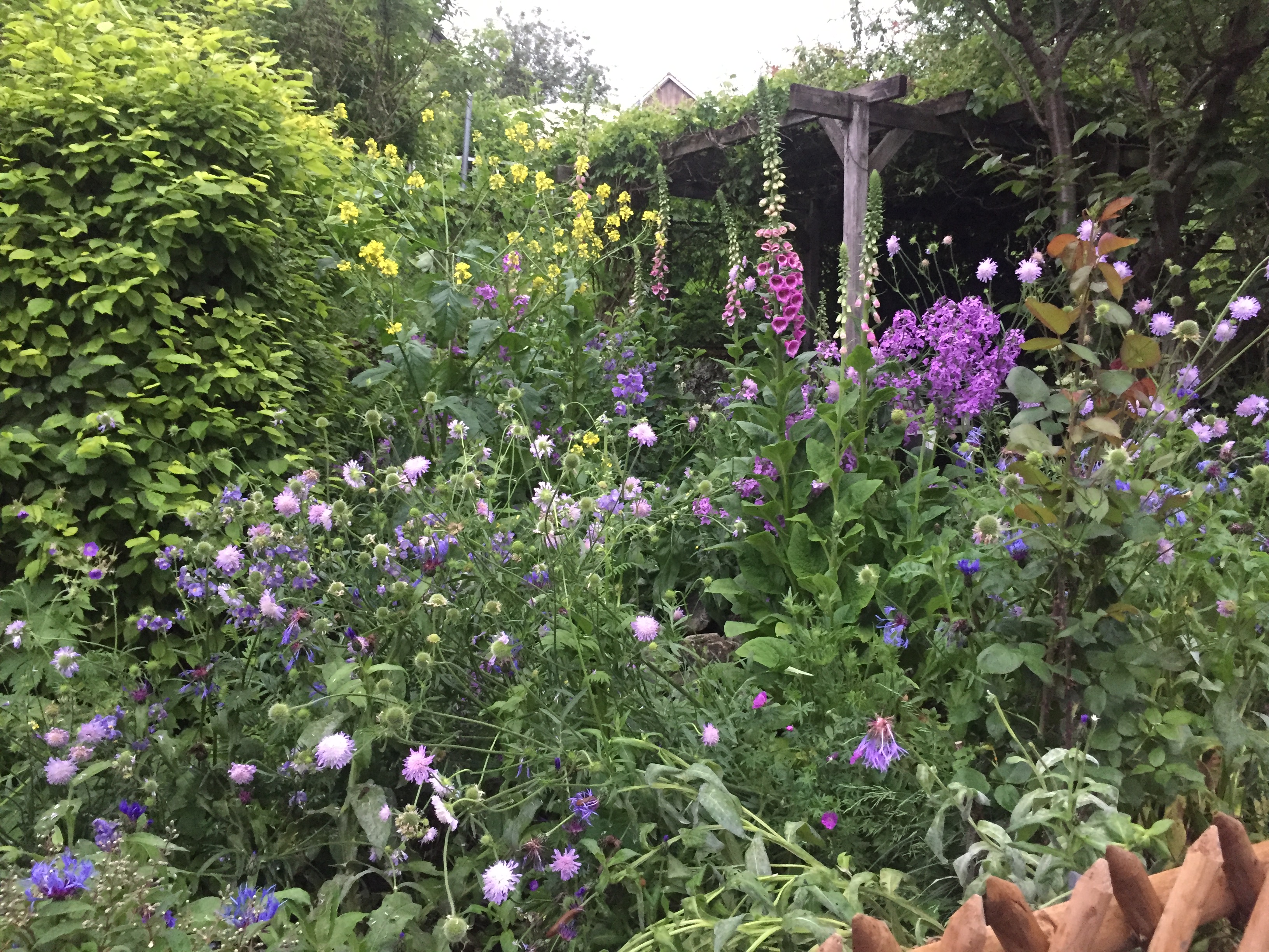 Rutschmann Naturgarten AG, Wiesendangerstrasse 51 in Stadel (Winterthur)