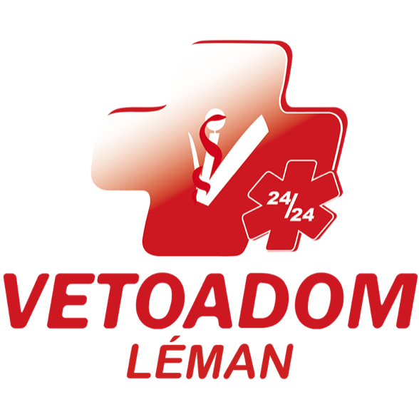 VetoAdom Sarl Logo