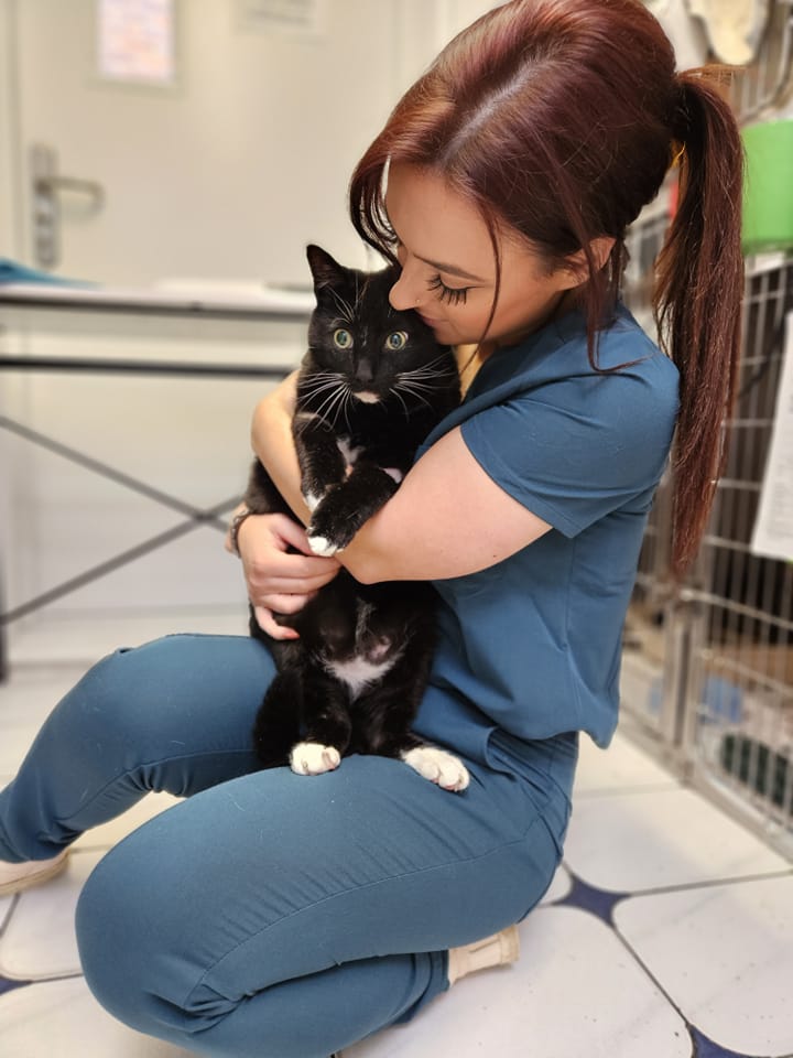 Images Streatham Hill Veterinary Surgery