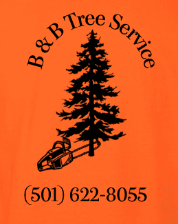 B & B Tree Service, LLC Hot Springs National Park (501)622-8055