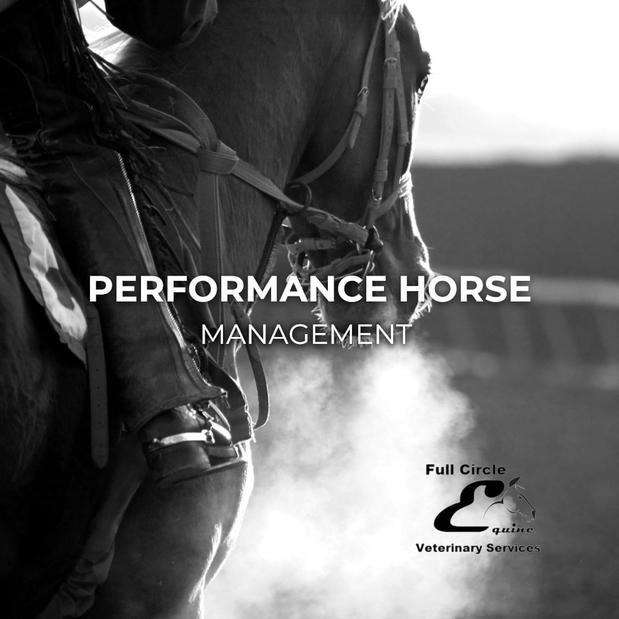 Images FULL CIRCLE EQUINE VETERINARY SERVICES