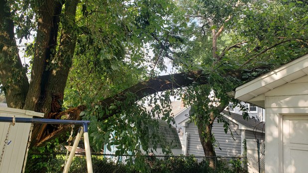 Images Bernie Tree Service Llc