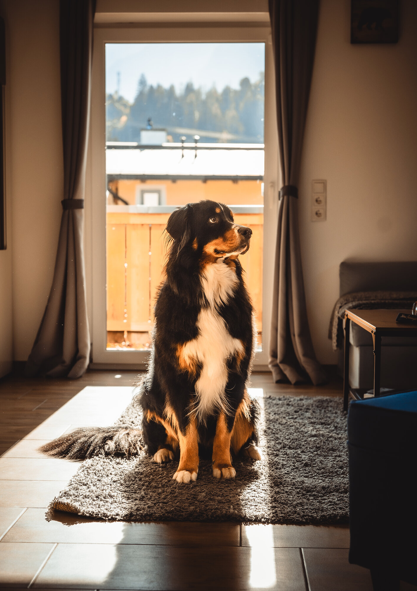 Bild 15 von Haus Faninger