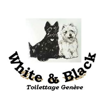 White and Black Logo