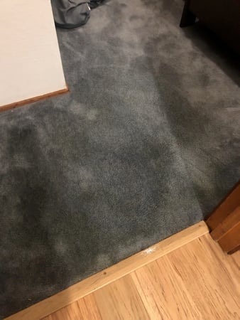Images Carpet Pro Carpet Cleaning & Dyeing