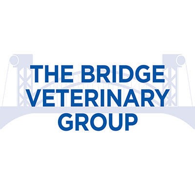 Bridge Veterinary Group - Billingham Logo