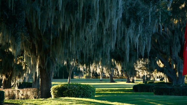 Images Townhomes at Bellalago - Taylor Morrison