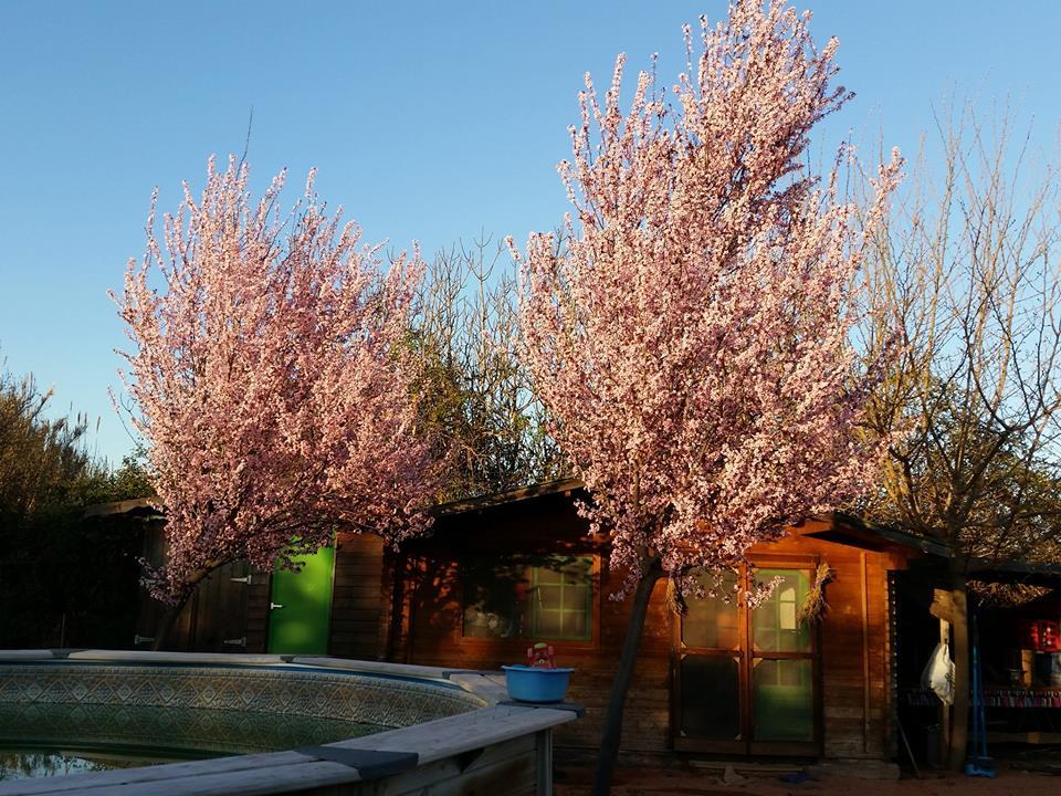 Images Jardinería el Campillo