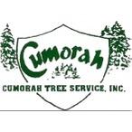 Cumorah Tree Service Logo