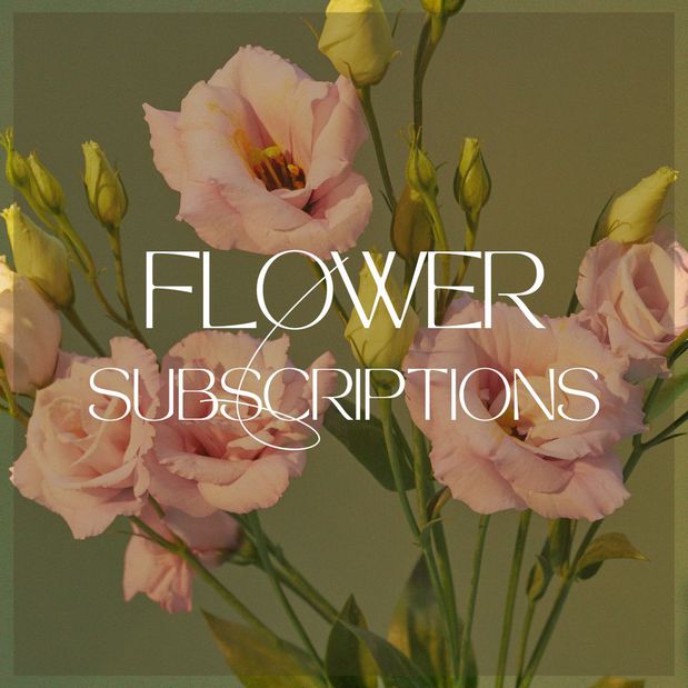 Images Harmonic Blooms of Glastonbury - Florist