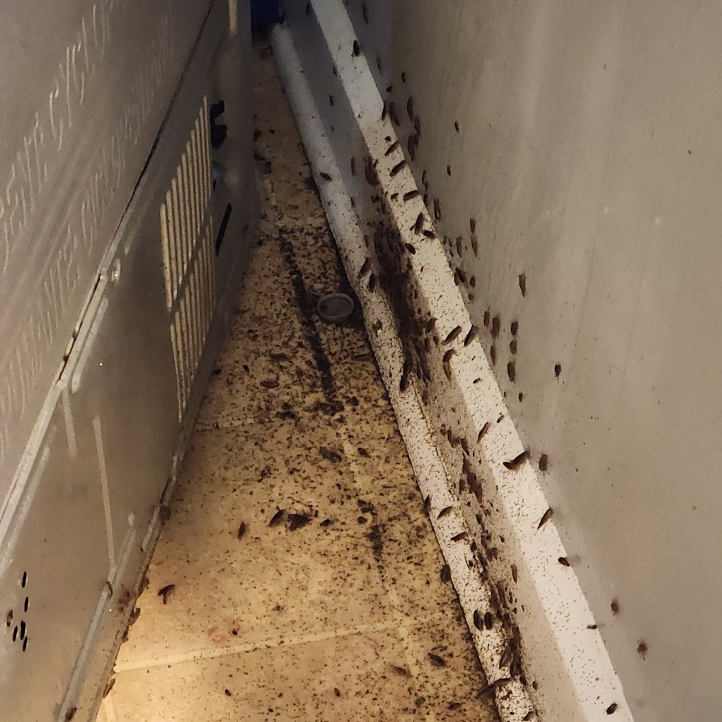 SWAT Pest Solutions - Indianapolis, IN - (317)724-2216 | ShowMeLocal.com