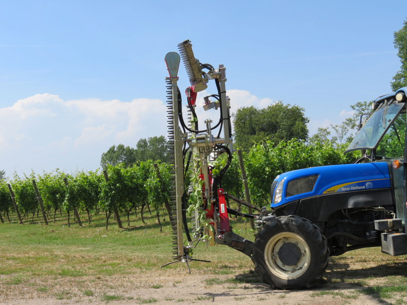 Images Officina C.M.