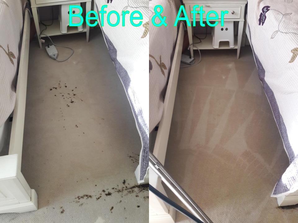 Able Body Carpet & Restoration Photo