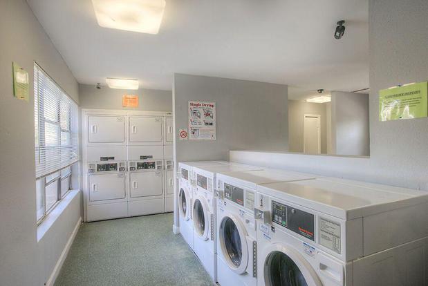 Images Springtree Apartments